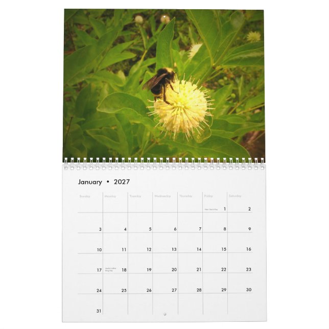 Calendario 2014 mi jardín (Jan 2027)