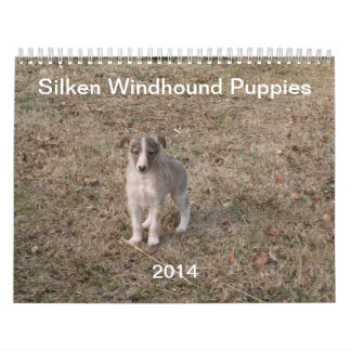 Calendario 2014 perritos de seda de Windhound 1-2
