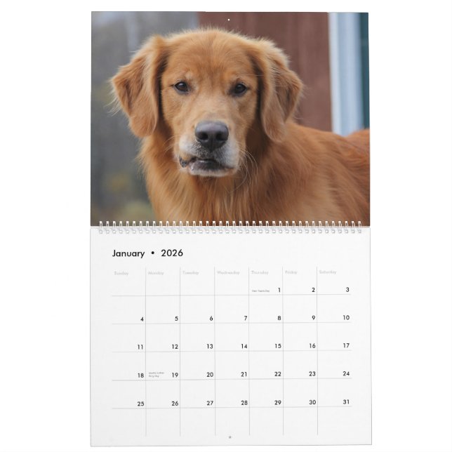 Calendario 2015 8 golden retriever Caledar de la milla (Jan 2026)