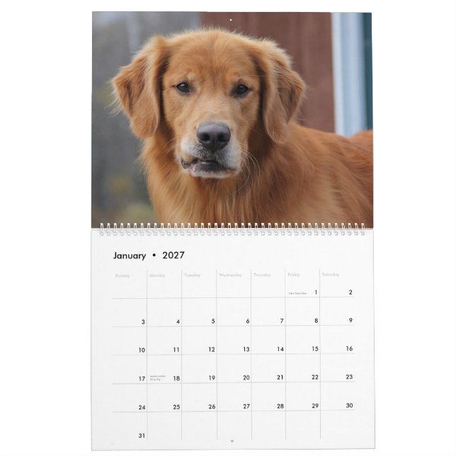 Calendario 2015 8 golden retriever Caledar de la milla (Jan 2027)