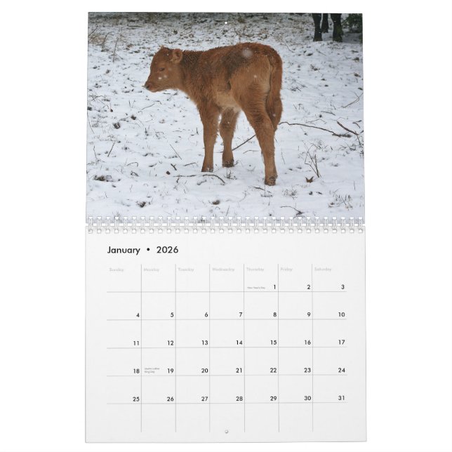 Calendario 2015 becerros (Jan 2026)