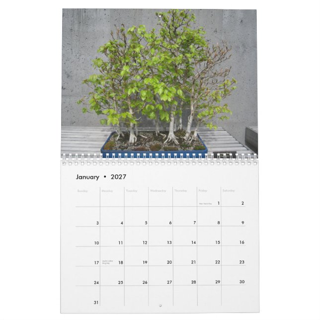 Calendario 2015 con Bonsai (Jan 2027)