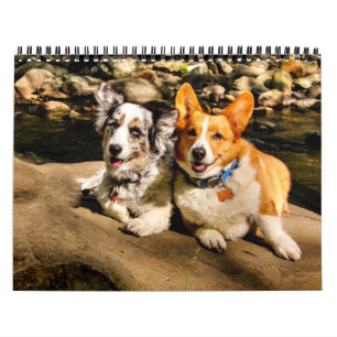 Calendario 2015 con Charlie y Maggie