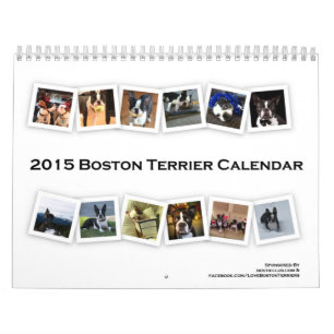 Calendario 2015 de Boston Terrier