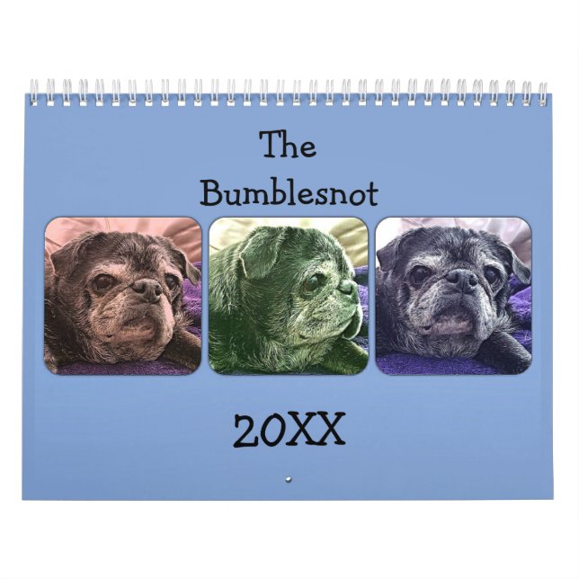 Calendario 2015 de Bumblesnot (Tapa)