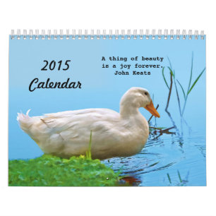 Calendario 2015 de cosas hermosas