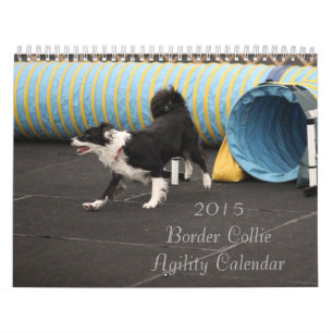 Calendario 2015 de la agilidad del border collie