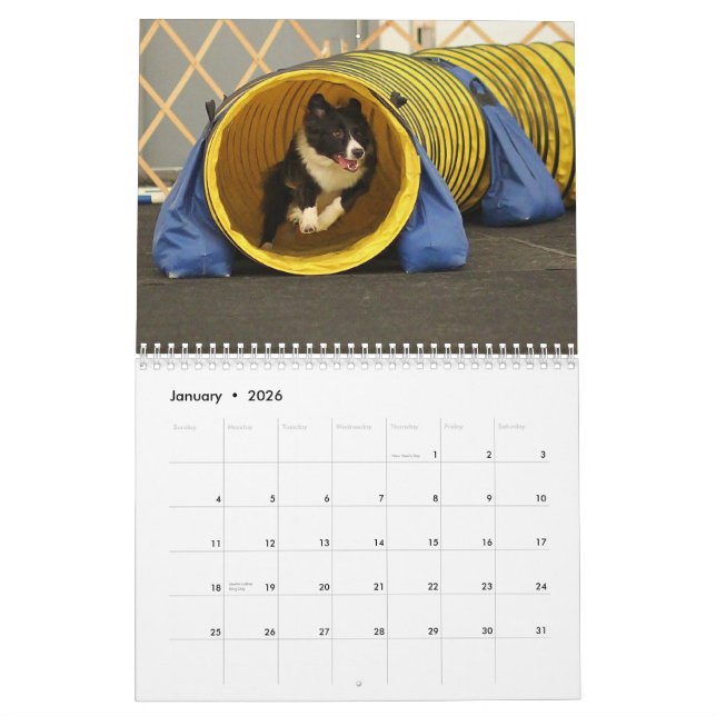 Calendario 2015 de la agilidad del border collie (Jan 2026)