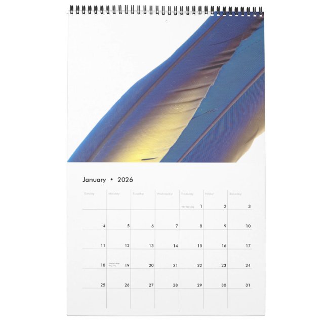 Calendario 2015 de las plumas de pájaro (Jan 2026)