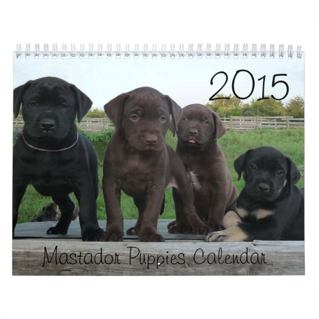Calendario 2015 de los perritos de Mastador (Tapa)
