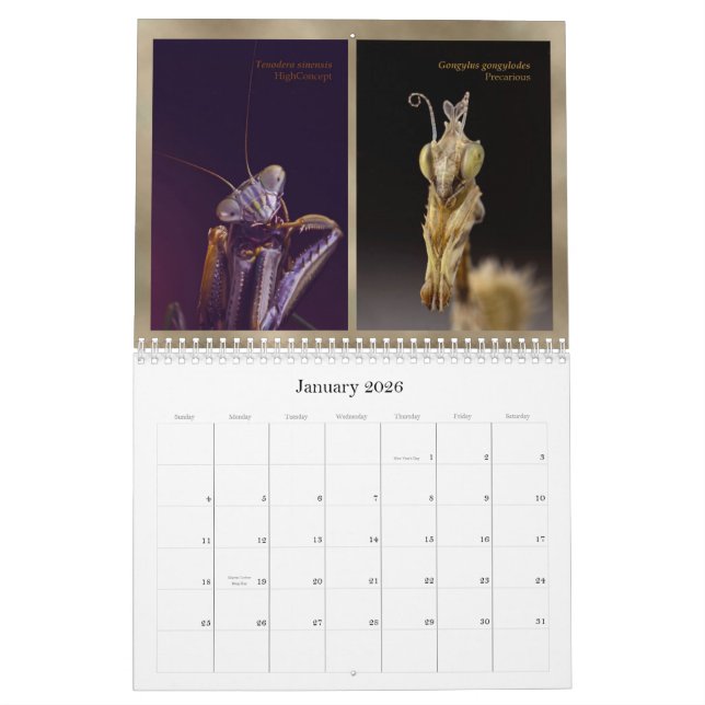 calendario 2015 de pared principal del miembro de (Jan 2026)