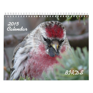 Calendario 2015 de pequeños pájaros