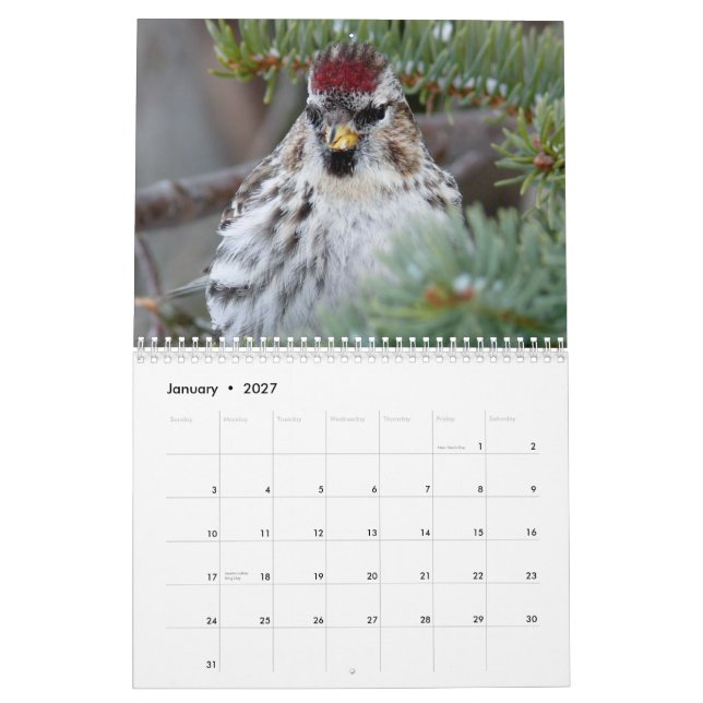 Calendario 2015 de pequeños pájaros (Jan 2027)