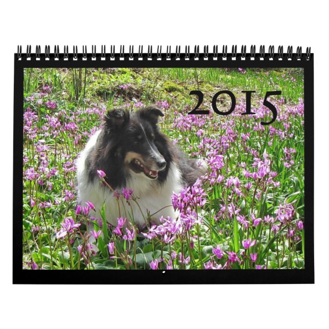 Calendario 2015 de Sheltie (Tapa)