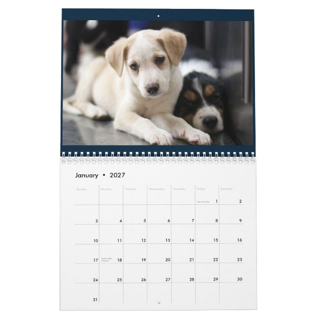 Calendario 2015 del cuidado animal de las colinas (Jan 2027)