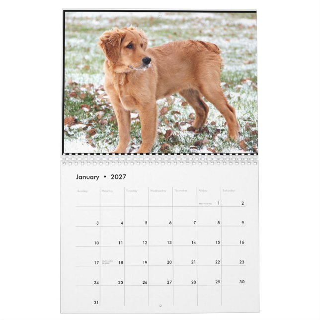 Calendario 2015 del penique (Jan 2027)