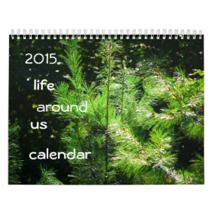 Calendario 2015 la vida a nuestro alrededor