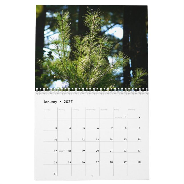 Calendario 2015 la vida a nuestro alrededor (Jan 2027)
