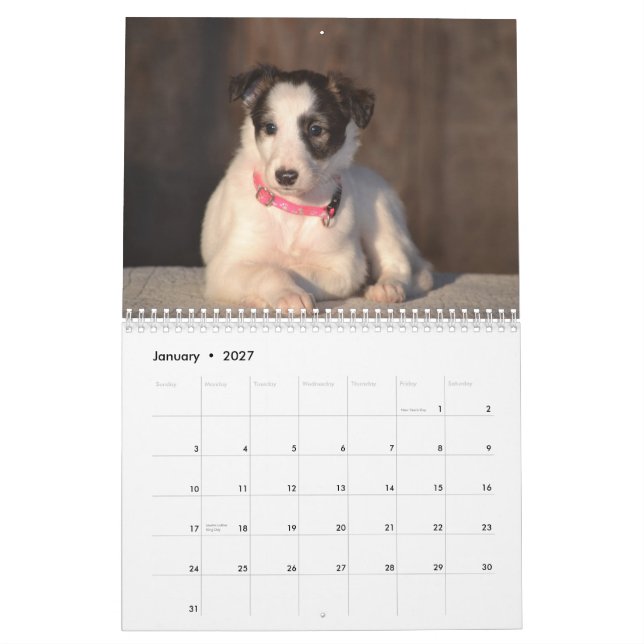 Calendario 2015 perritos de seda de Windhound (Jan 2027)