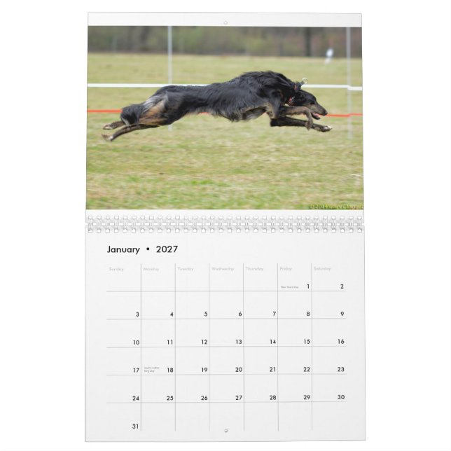 Calendario 2015 Windhounds de seda en la acción (Jan 2027)