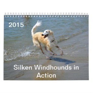 Calendario 2015 Windhounds de seda en la acción