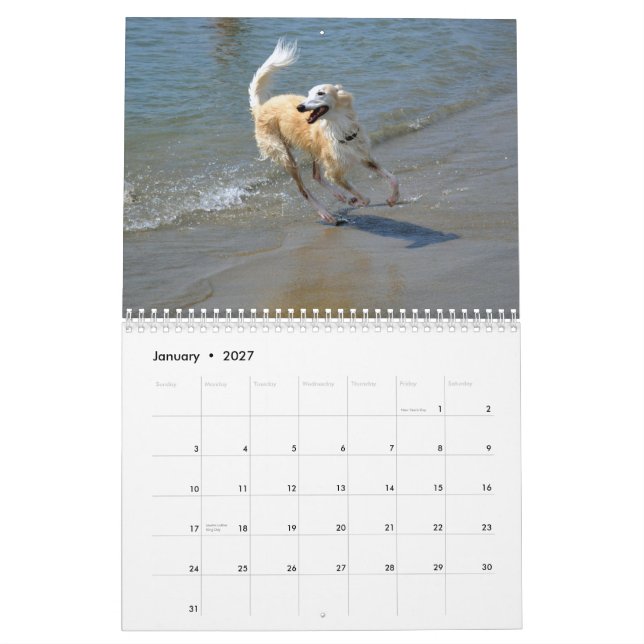 Calendario 2015 Windhounds de seda en la acción (Jan 2027)