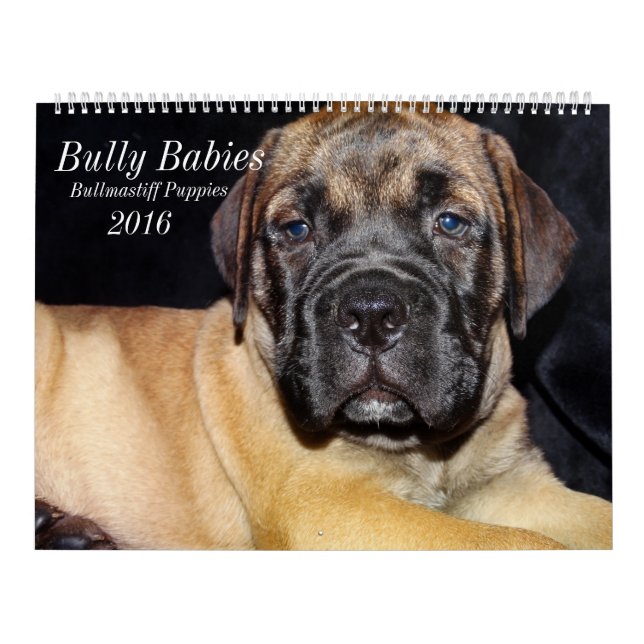 Calendario 2016 de Bullmastiff (Tapa)