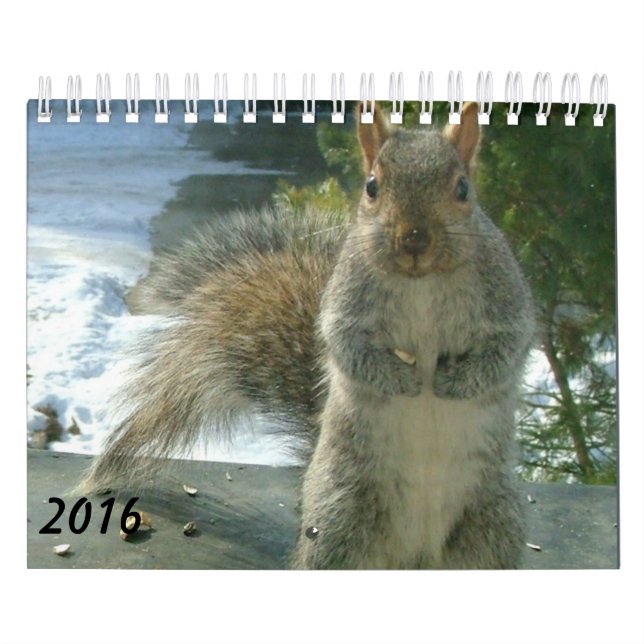 Calendario 2016 de la ardilla (Tapa)