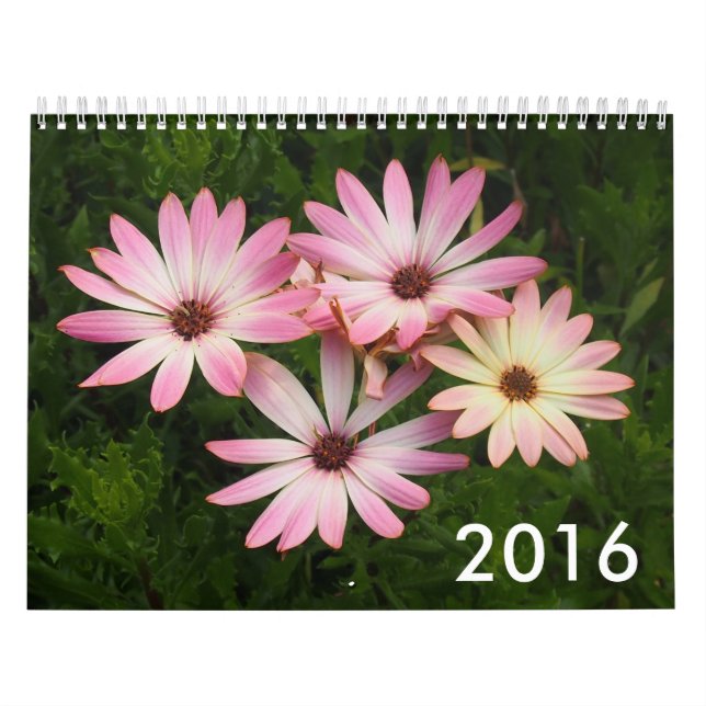 Calendario 2016 de la foto (Tapa)