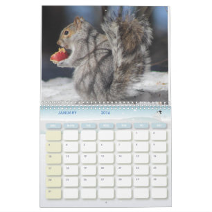 Calendario 2016 de la foto de Maine