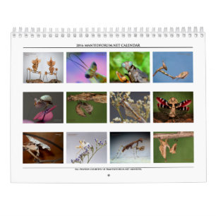 Calendario 2016 de pared de alta resolución de