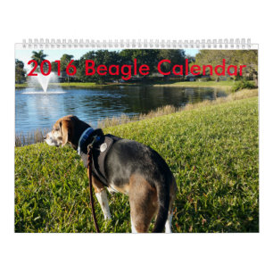 Calendario 2016 del beagle