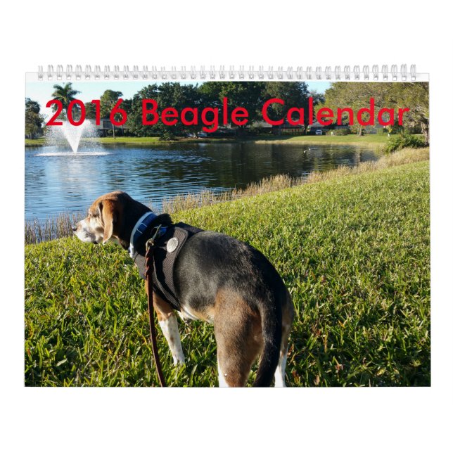 Calendario 2016 del beagle (Tapa)
