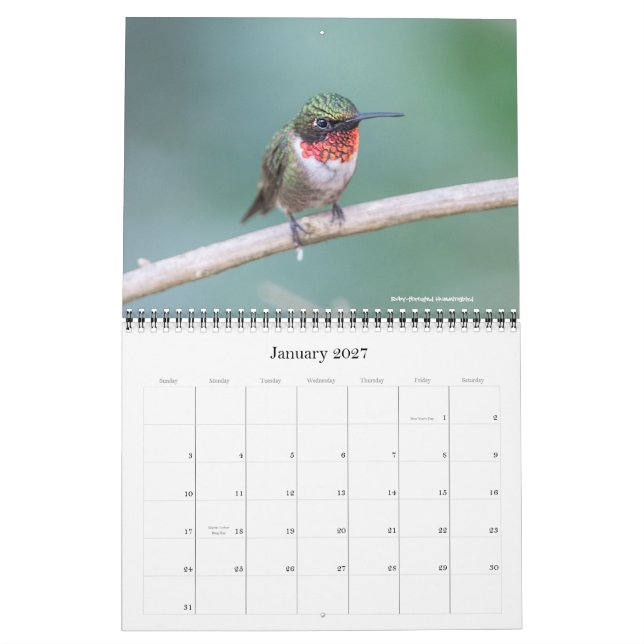 Calendario 2016 del colibrí (Jan 2027)