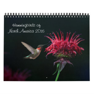 Calendario 2016 del colibrí
