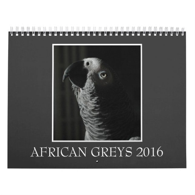 Calendario 2016 del loro del gris africano de (Tapa)