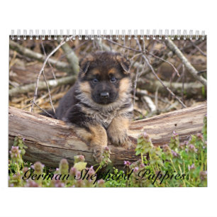 Calendario 2016 del perrito del pastor alemán