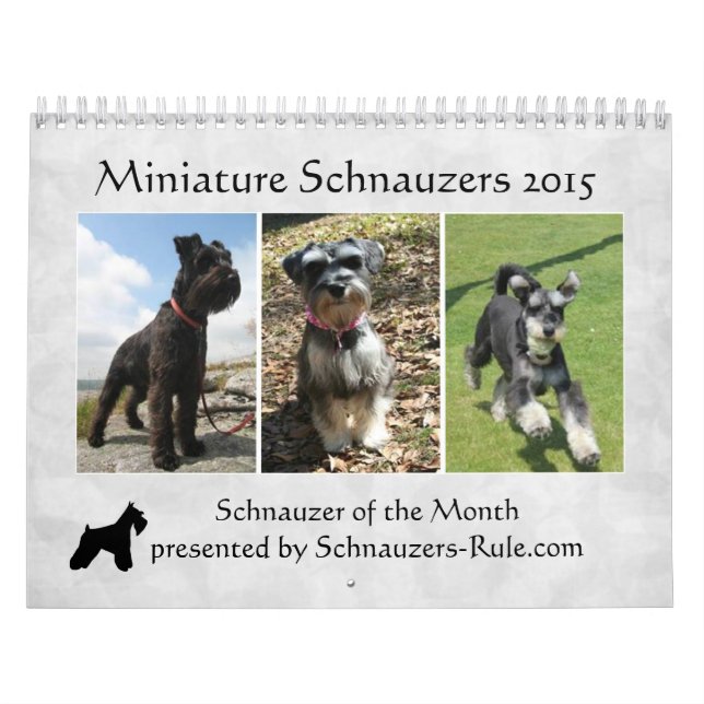 Calendario 2016 del Schnauzer (Tapa)