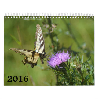 calendario 2016, mariposas y floraciones