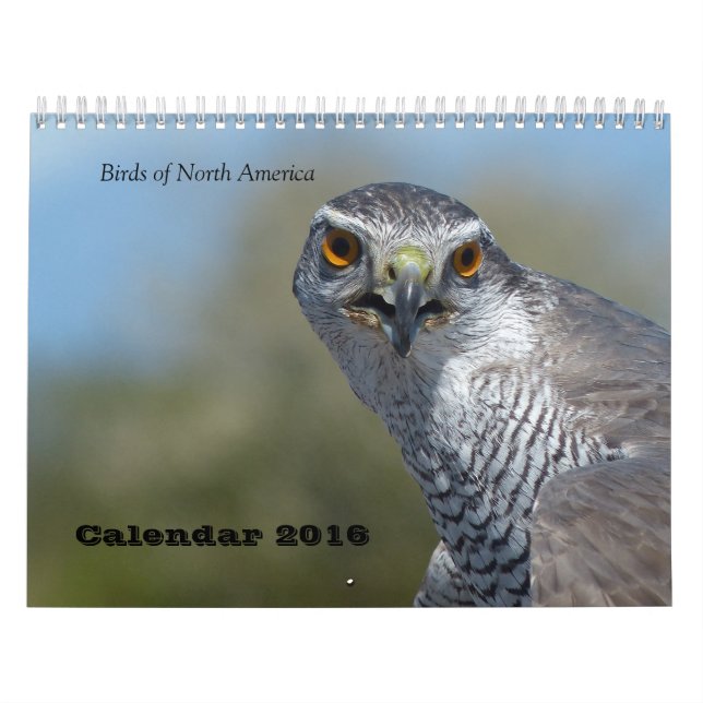 Calendario 2016 - Pájaros de Norteamérica (Tapa)