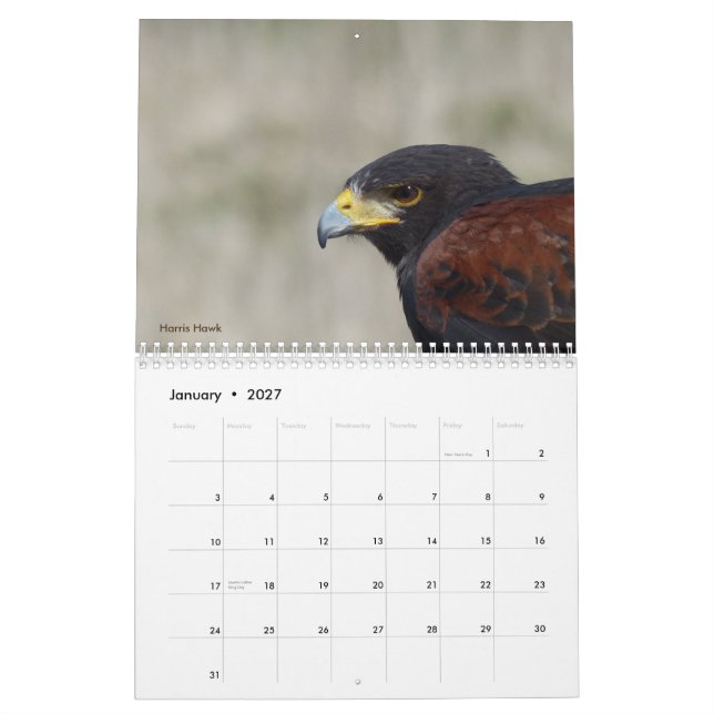 Calendario 2017 - Aves de América del Norte (Jan 2027)