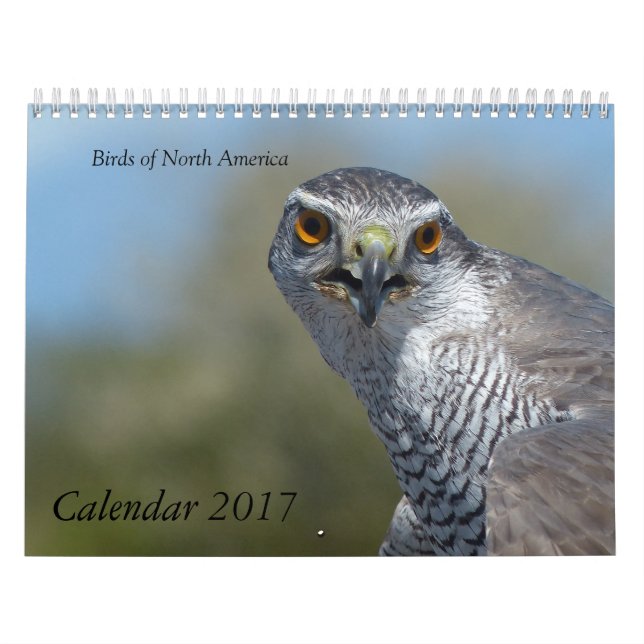 Calendario 2017 - Aves de América del Norte (Tapa)