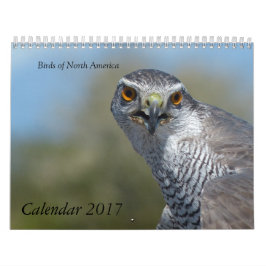 Calendario 2017 - Aves de América del Norte