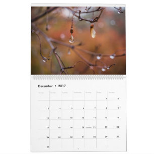 Calendario 2017 calendario, fotos de Eric Johnson