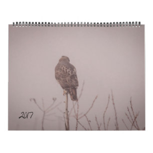 Calendario 2017 de la fauna