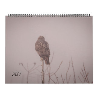 Calendario 2017 de la fauna