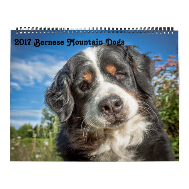 Calendario 2017 de los perros de montaña de (Tapa)
