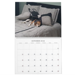 Calendario 2017 del beagle