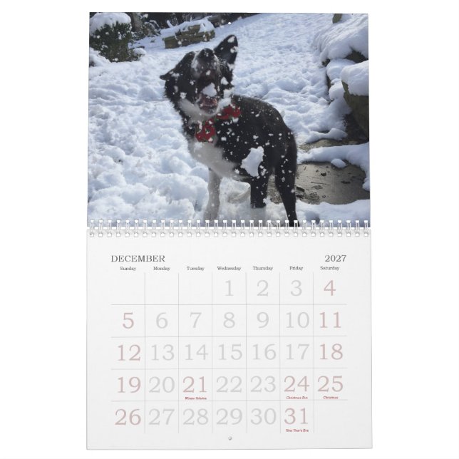 Calendario 2017 del border collie (Dec 2027)