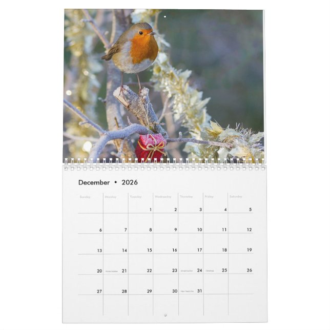 Calendario 2017 del petirrojo (Dec 2026)